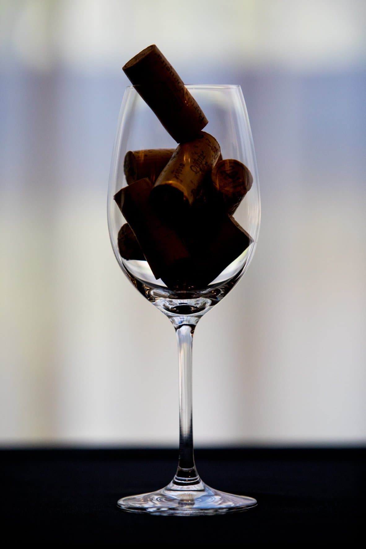 Enóphilo Wine Fest — Porto