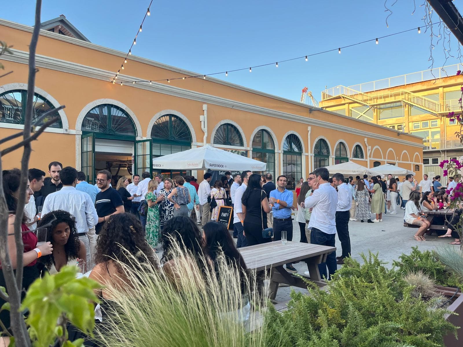 🥂+🍽️ PETISCOS, VINHO, MÚSICA E PÔR DO SOL NA PRIMEIRA EDIÇÃO DO ENÓPHILO FOOD FEST, A 24 DE JULHO, EM LISBOA